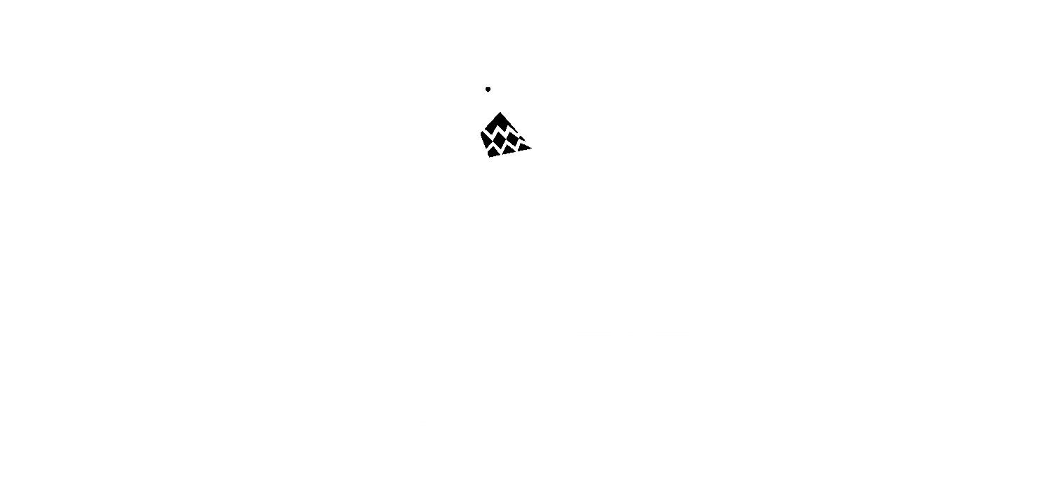 ch_logo_white_sm